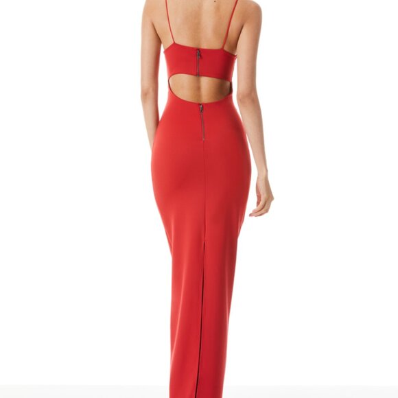 Alice + Olivia Dresses & Skirts - NWT Alice + Olivia Nelle Jersey Maxi Dress